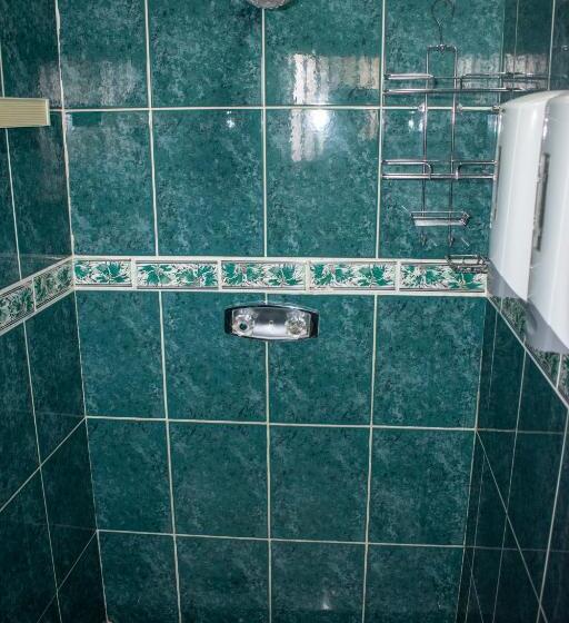 جناح ديلوكس سرير كينج, Lenasia Guest Lodge
