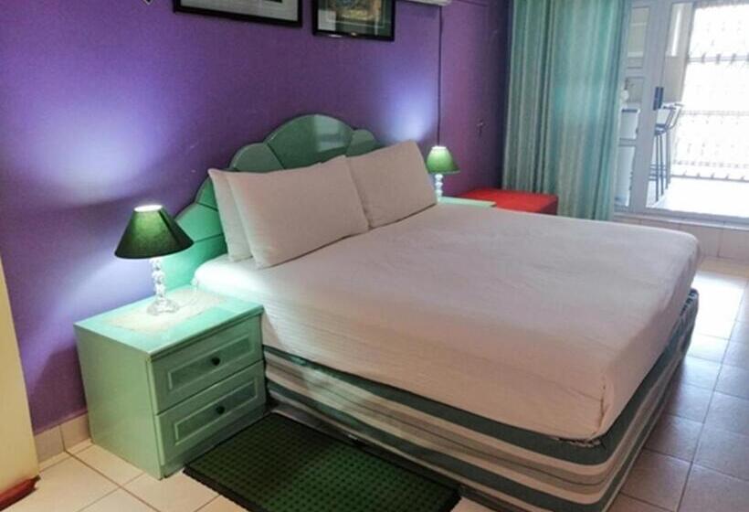 جناح ديلوكس سرير كينج, Lenasia Guest Lodge