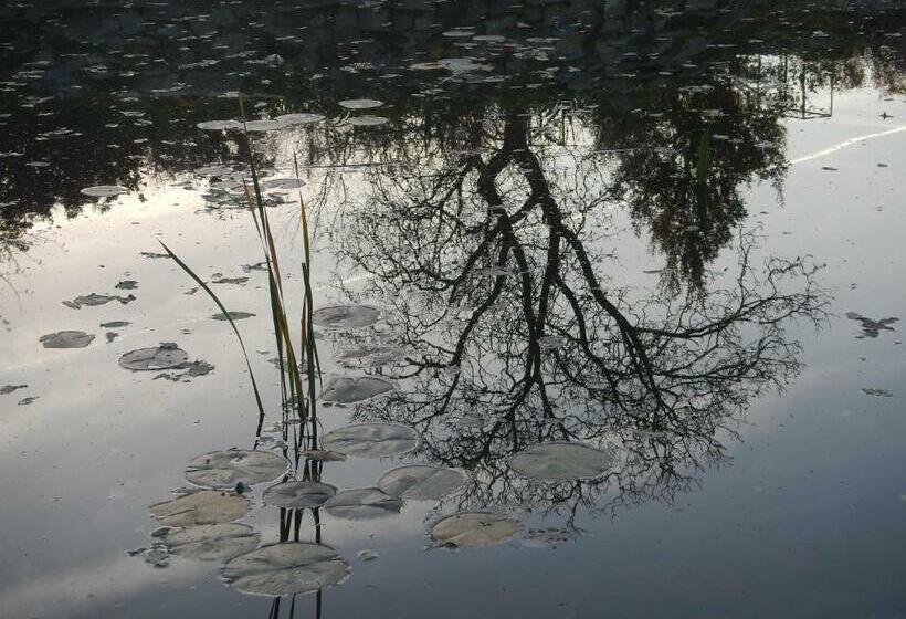 1ベッドルームアパートメント, Villa Aromatique