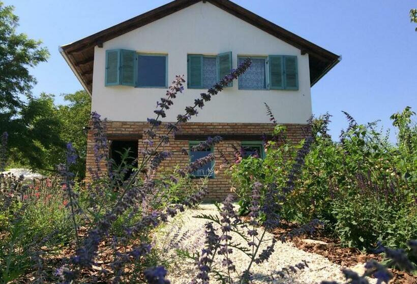 1ベッドルームアパートメント, Villa Aromatique