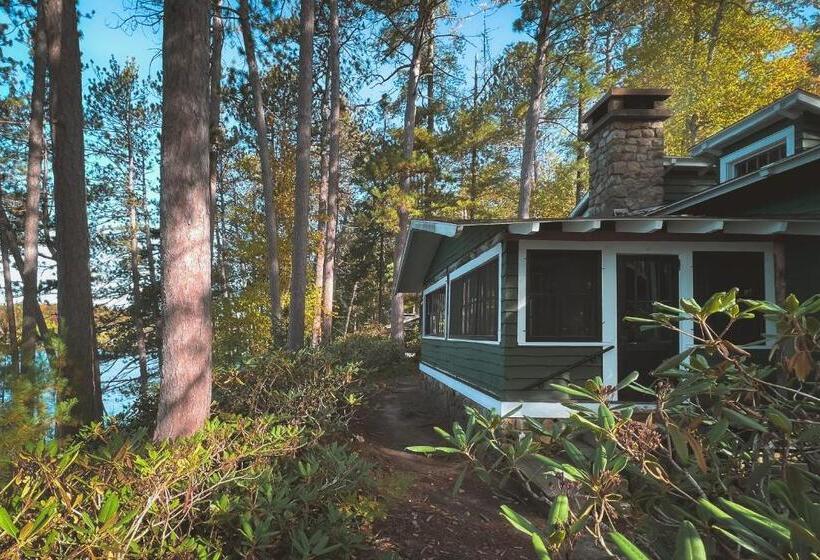 غرفة ديلوكس رباعية, White Pine Camp