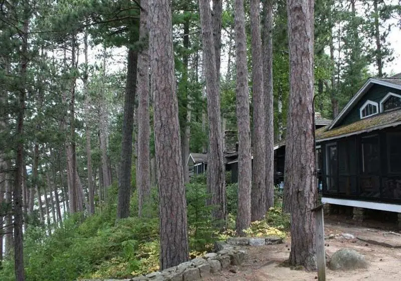 １ベッドルームのデラックスアパートメント, White Pine Camp
