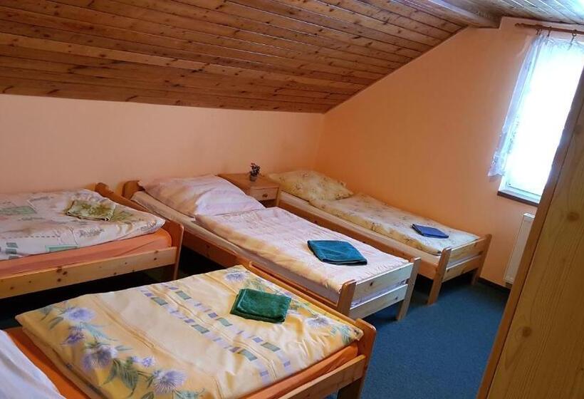 스탠다드 4인용 룸 공용 욕실, Pension Pod Hrádečkem