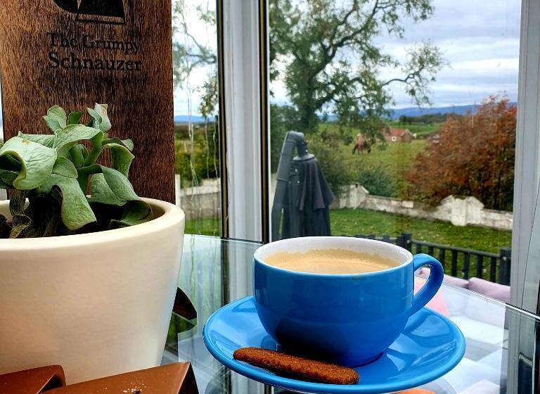 Номер Стандарт, The Green Monkey Lux Suite At The Grumpy Schnauzer B&b Private Hot Tub, Gym, Breakfast, Stunning!