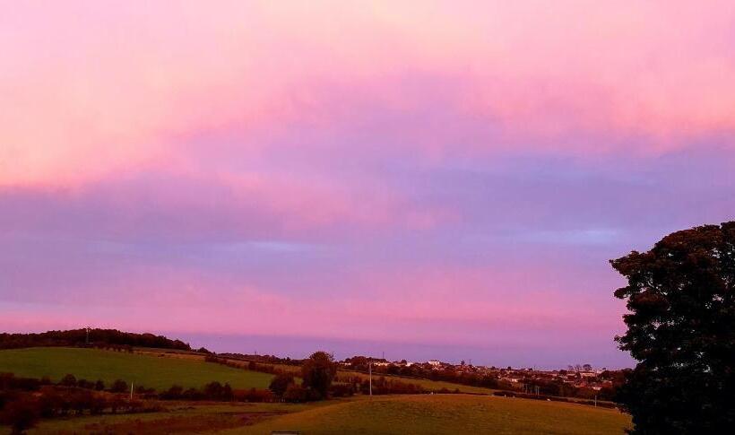 غرفة قياسية, The Green Monkey Lux Suite At The Grumpy Schnauzer B&b Private Hot Tub, Gym, Breakfast, Stunning!