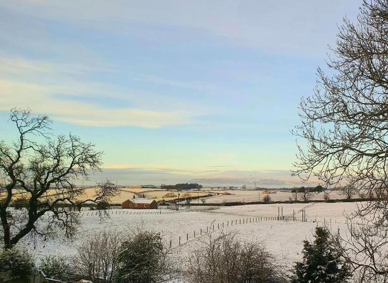 غرفة قياسية, The Green Monkey Lux Suite At The Grumpy Schnauzer B&b Private Hot Tub, Gym, Breakfast, Stunning!