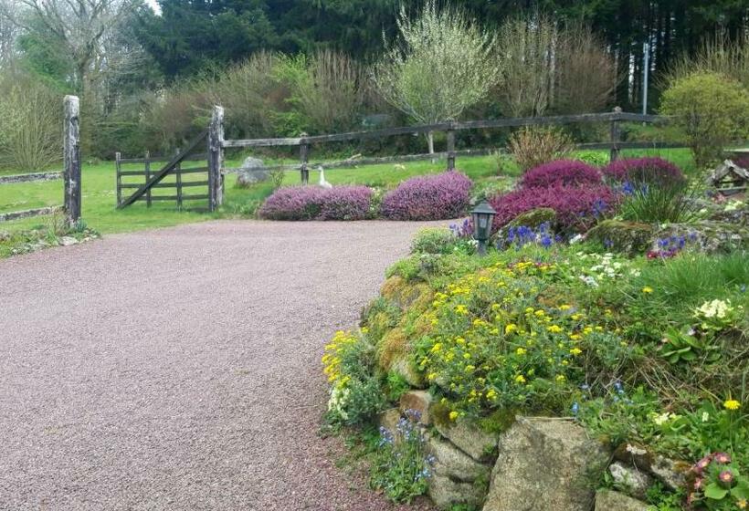 스탠다드 룸, Le Petit Bois Normand