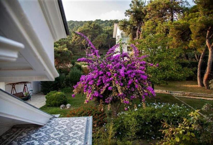 豪华家庭房间, Triada Hotel Buyukada