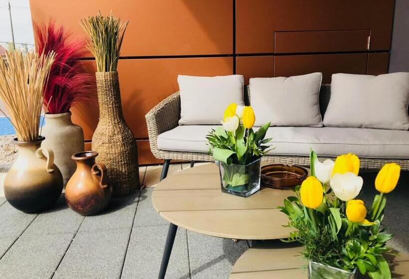 スタンダードシングルルーム, Elba