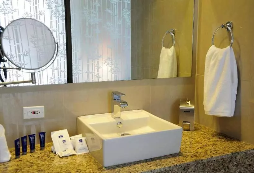 اتاق استاندارد با تخت بزرگ, Best Western Plus Panama Zen