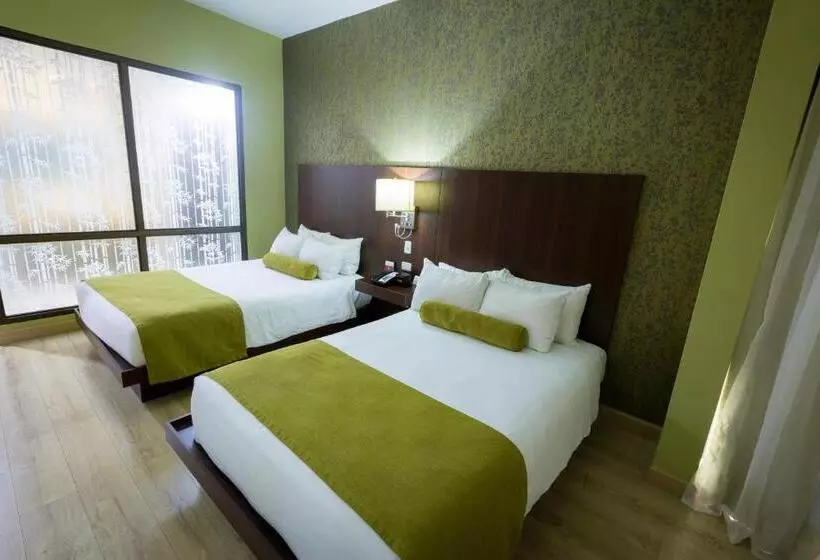 اتاق استاندارد, Best Western Plus Panama Zen