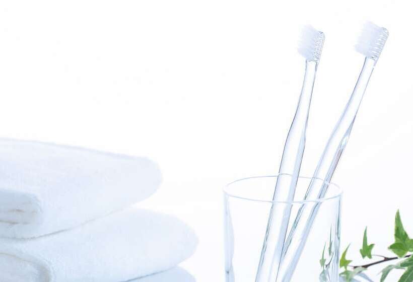 Номер Superior, Comfort Hotel Ishigaki Island