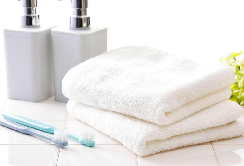 Номер Superior, Comfort Hotel Ishigaki Island