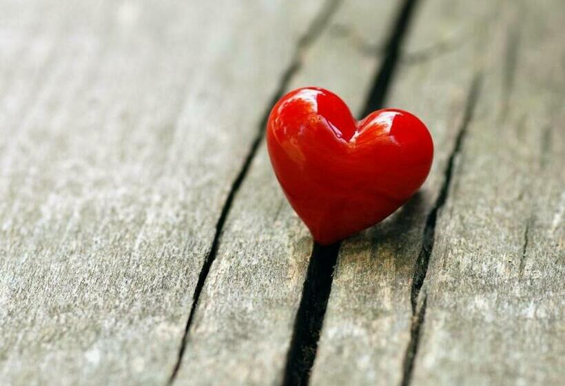 リバービュースタンダードルーム, Douro Royal Valley Hotel & Spa