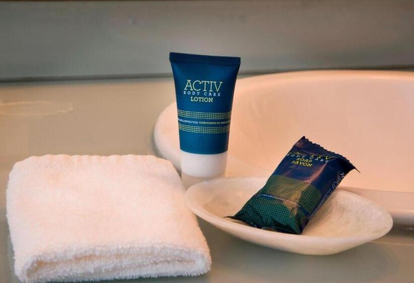 غرفة قياسية سرير كينج, Four Points By Sheraton Queretaro Norte