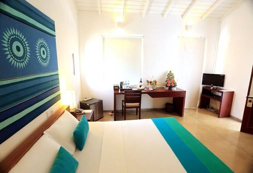 デラックスルーム, The Ocean Front