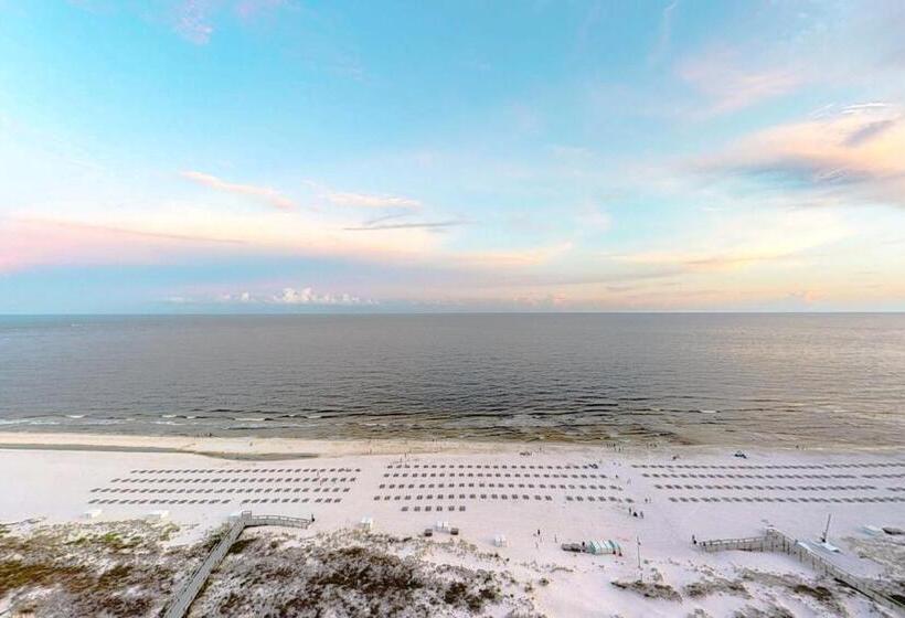 شقة 3 غرف, Turquoise Place