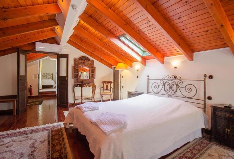 סוויטה, Vilelmine