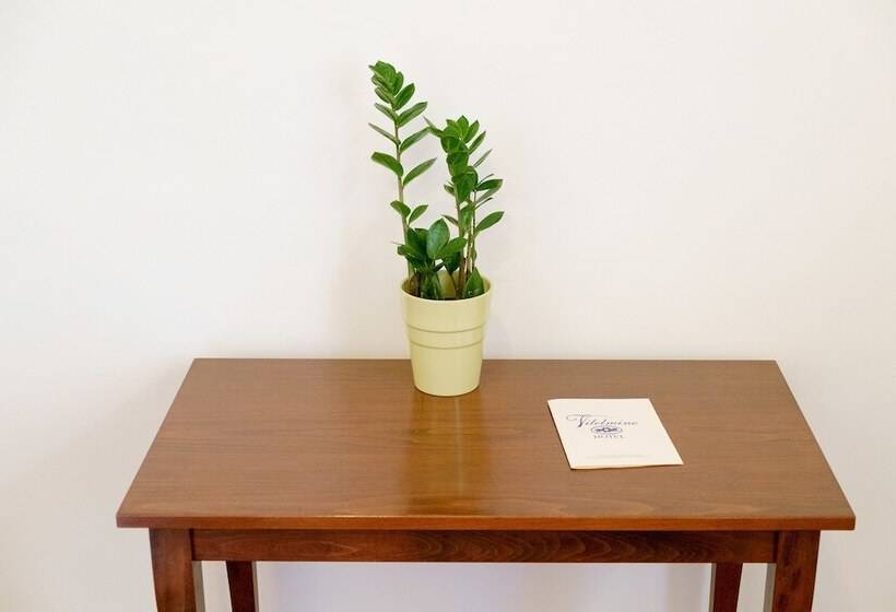 חדר קומפורט לשלושה, Vilelmine