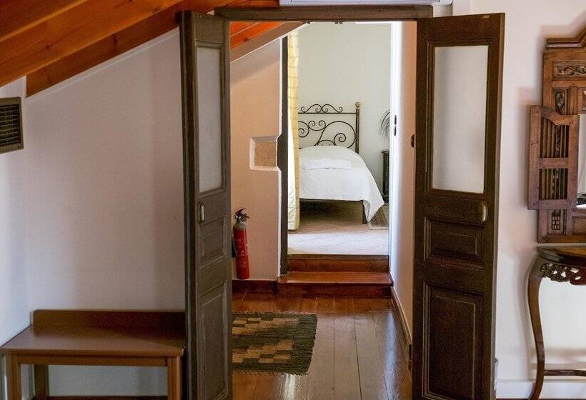 סוויטה, Vilelmine