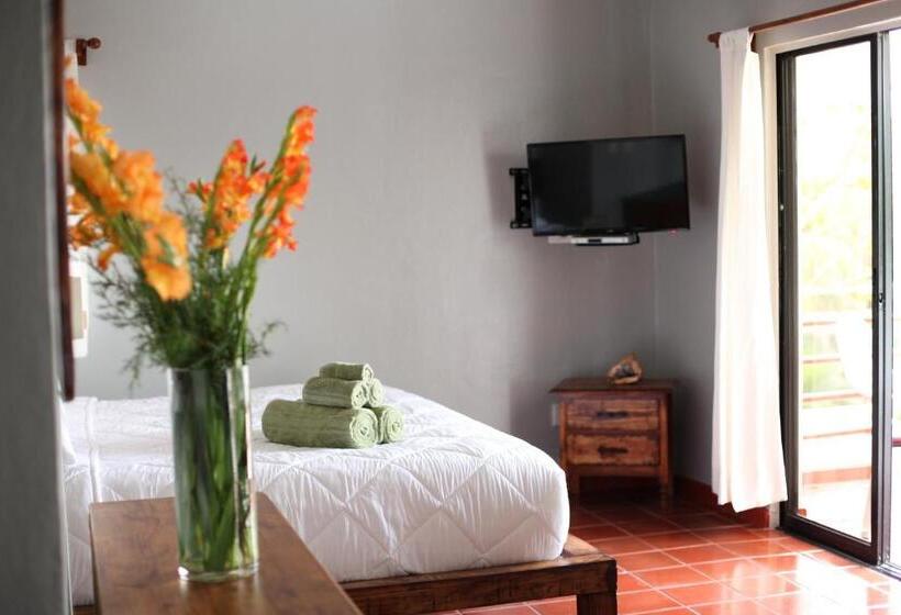 디럭스 스튜디오, Zapata