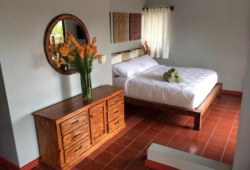 디럭스 스튜디오, Zapata