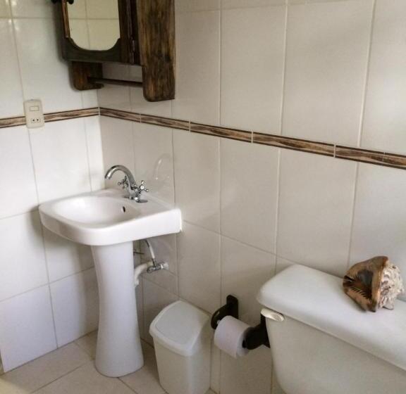 디럭스 스튜디오, Zapata