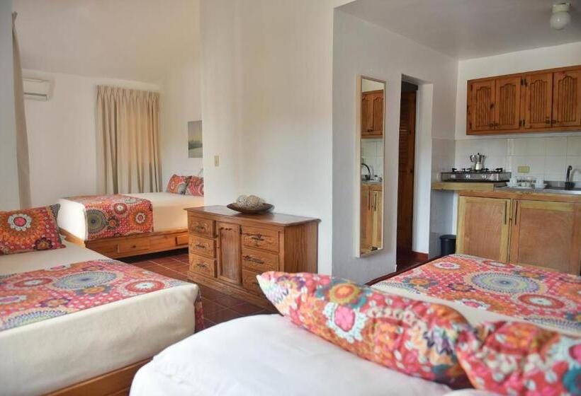 스탠다드 스튜디오, Zapata