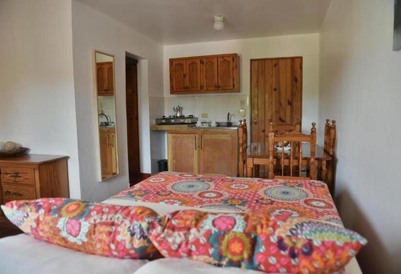 스탠다드 스튜디오, Zapata