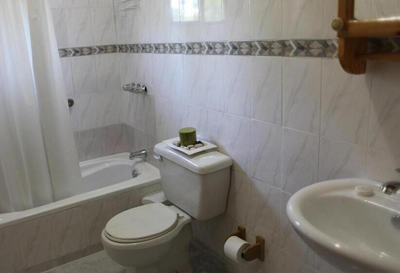 스탠다드 스튜디오, Zapata