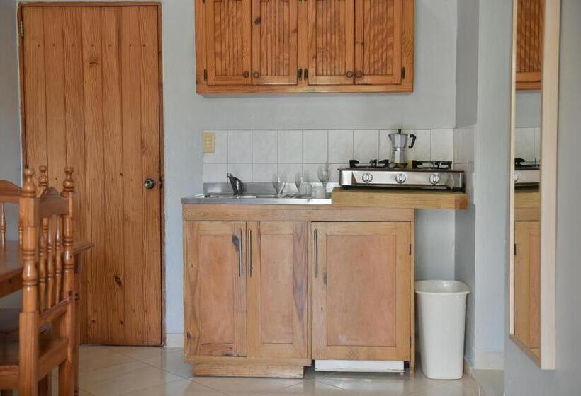 스탠다드 발코니 스튜디오, Zapata