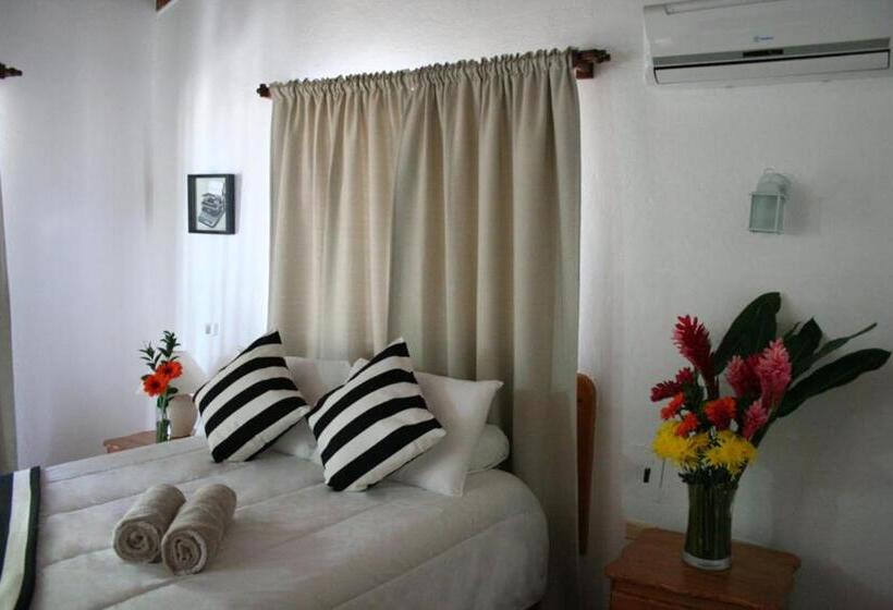 스탠다드 룸, Zapata