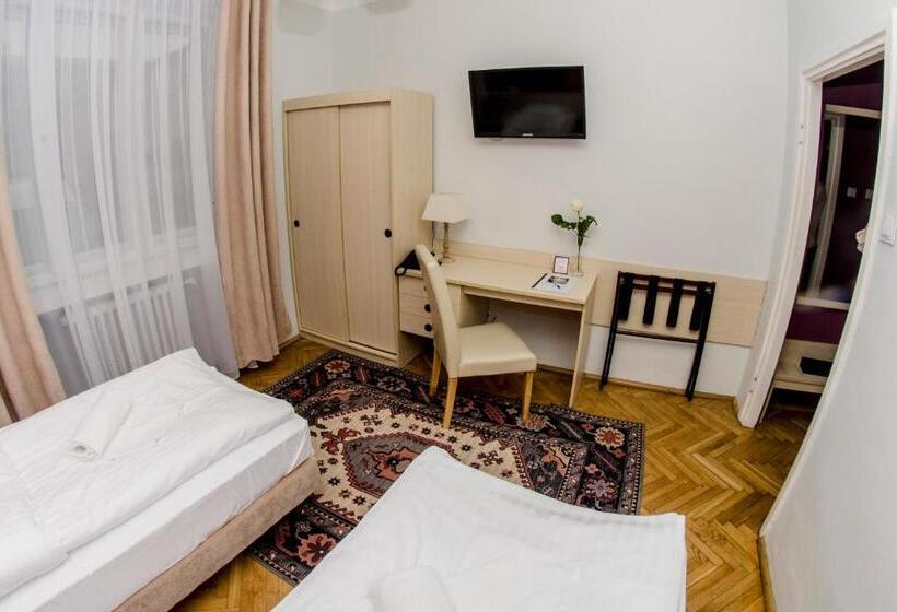 غرفة قياسية, Hutnik