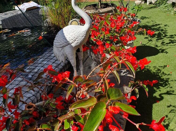 Standard Room, Centre Court B&b