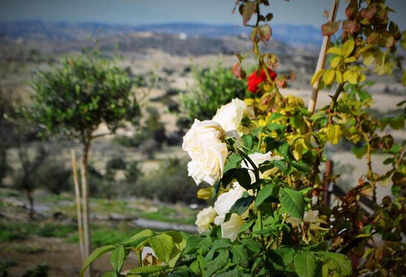1间卧室的房子, Cottage Houses