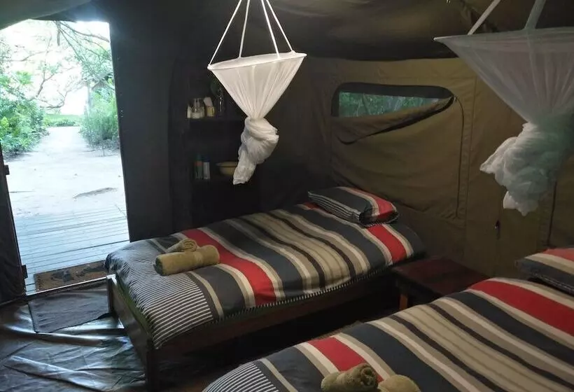 اتاق استاندارد, Caprivi Houseboat Safari Lodge