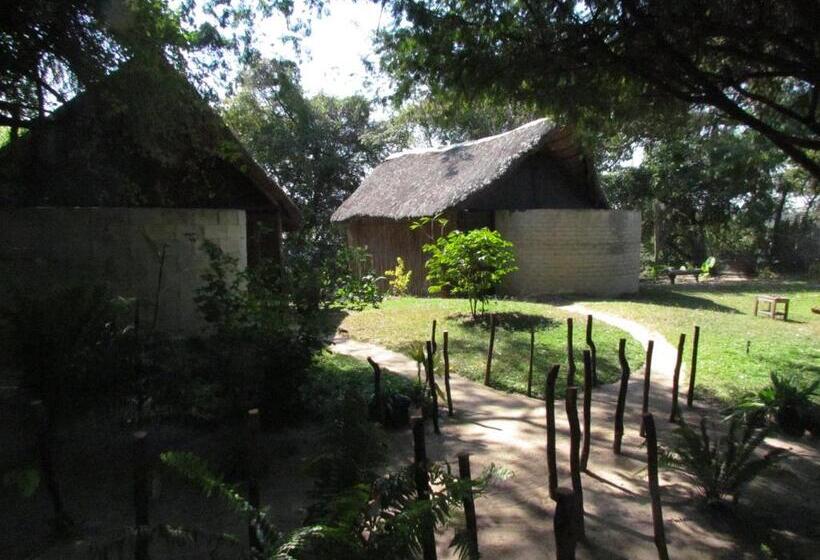 اتاق استاندارد با بالکن, Caprivi Houseboat Safari Lodge