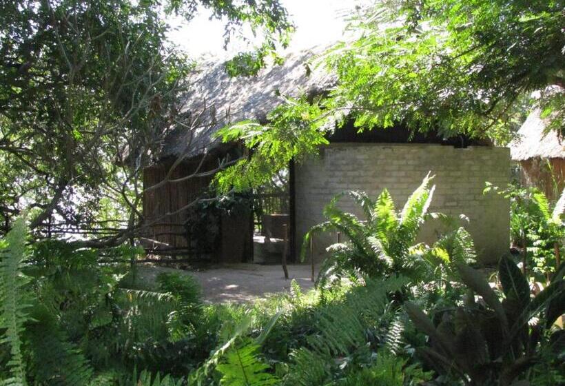 غرفة قياسية, Caprivi Houseboat Safari Lodge