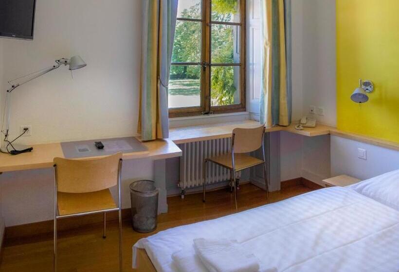 标准间带湖景, Chateau De Bossey