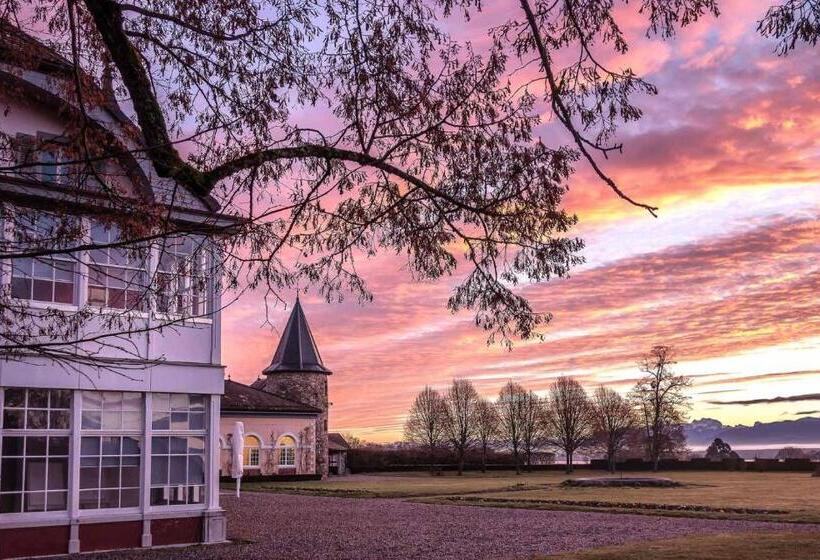 标准间带湖景, Chateau De Bossey