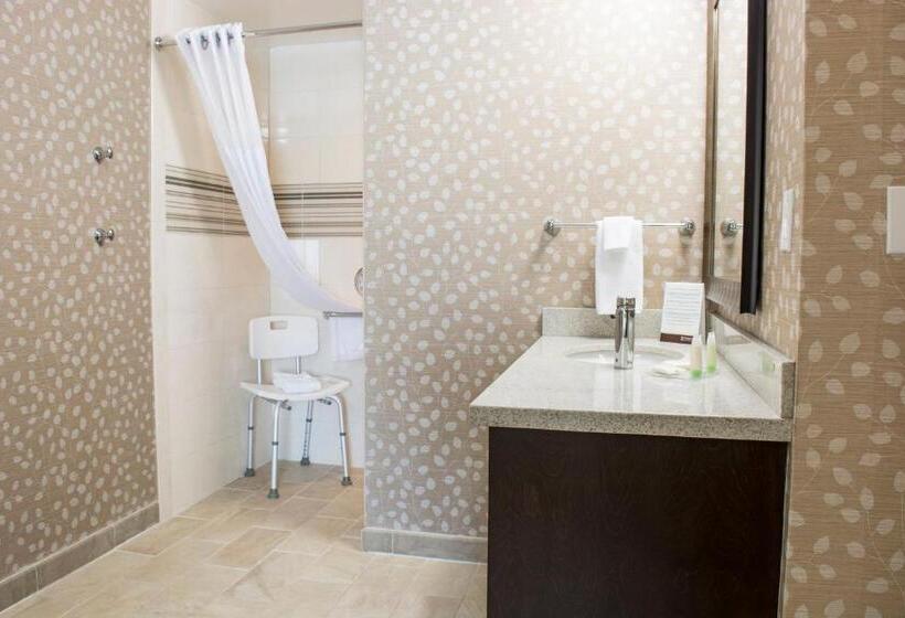 Standard Studio, Staybridge Suites Chihuahua, An Ihg