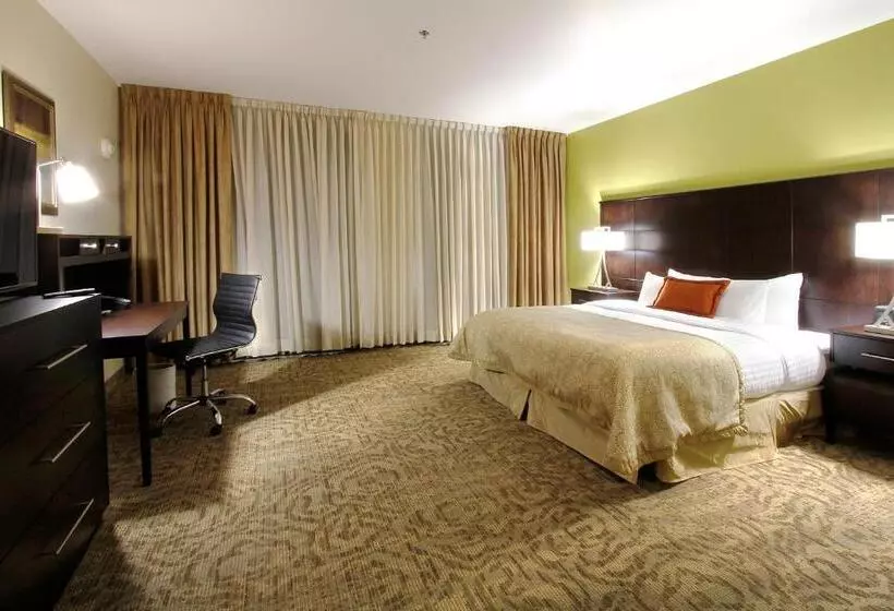 Sviitti 2 Makuuhuonetta, Staybridge Suites Chihuahua, An Ihg