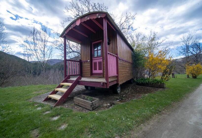 스탠다드 룸, Les Copains à Bord