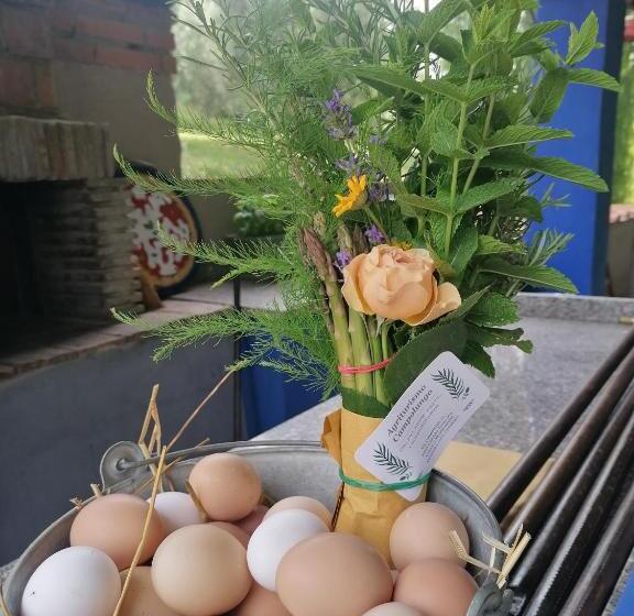 침실 2개 아파트, Agriturismo Campolungo