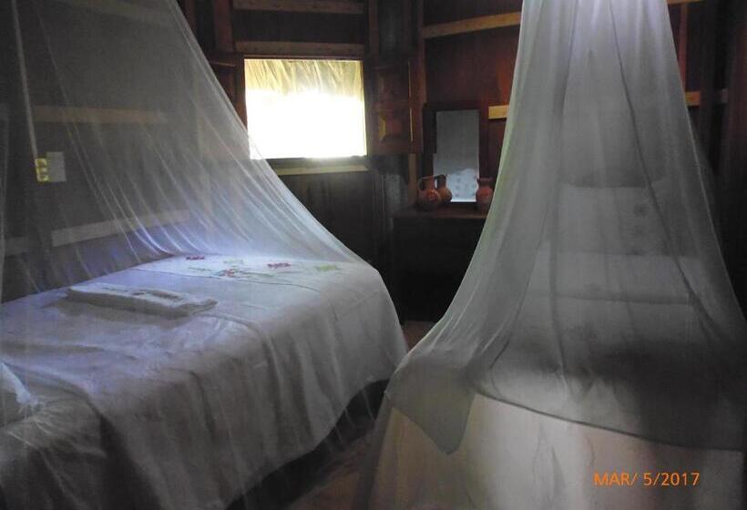 غرفة قياسية رباعية, Nueva Alianza