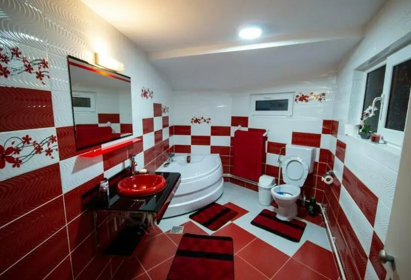 ４ベッドルームハウス, Casa Savu Secaria