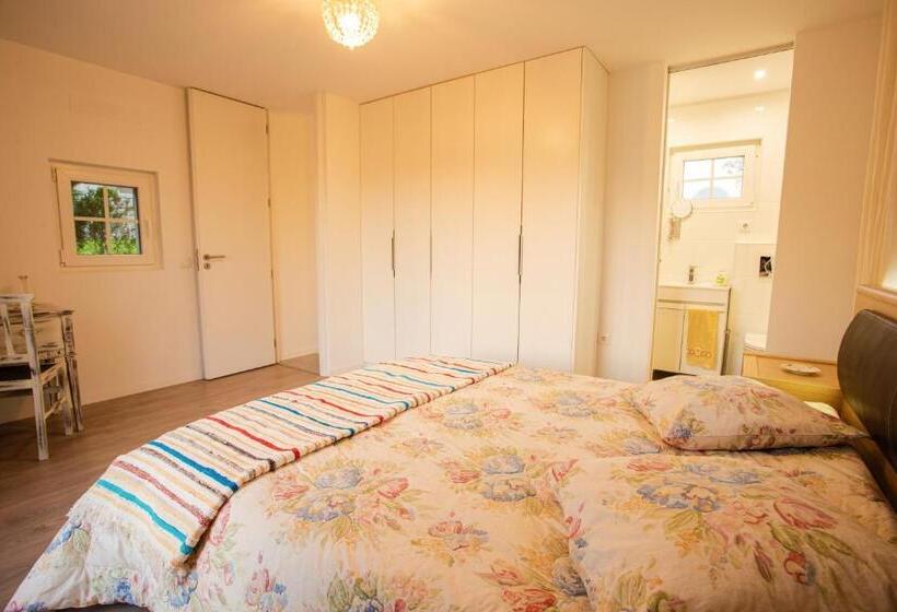 １ベッドルームハウス, Fonte Velha