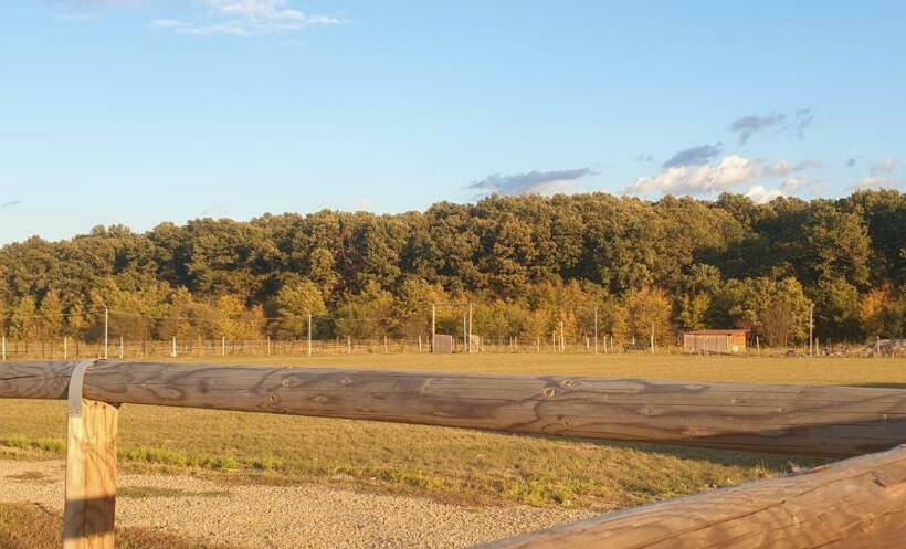 شاليه غرفة نوم واحدة, Hobby Land Ranch Horse S Barn Guesthouse