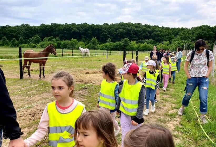 شاليه غرفة نوم واحدة, Hobby Land Ranch Horse S Barn Guesthouse