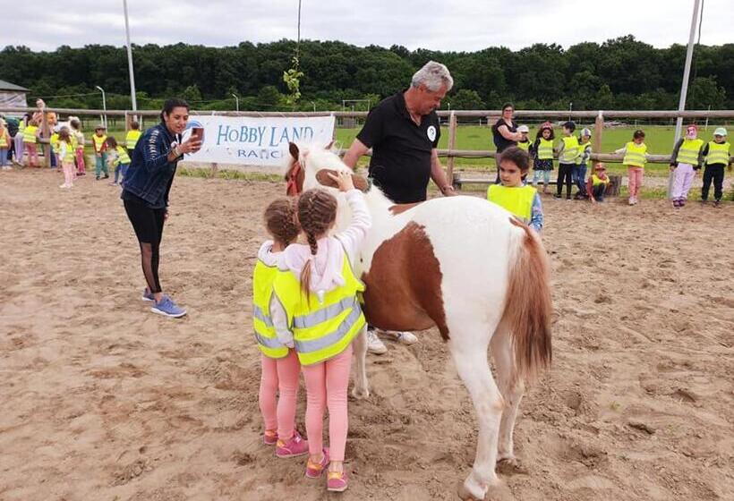 شاليه غرفة نوم واحدة, Hobby Land Ranch Horse S Barn Guesthouse